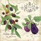 Cucina Italiana IV Poster Print by Julie Paton - Item # VARPDXPAT135